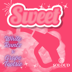 SWEET GAS (FEM)